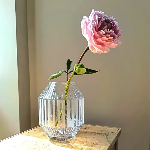 Rotunda Vase - 20cm - Lines